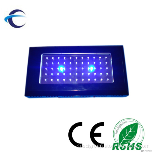 Customized Household LED Coral Reef Aquairum Lights with Switches